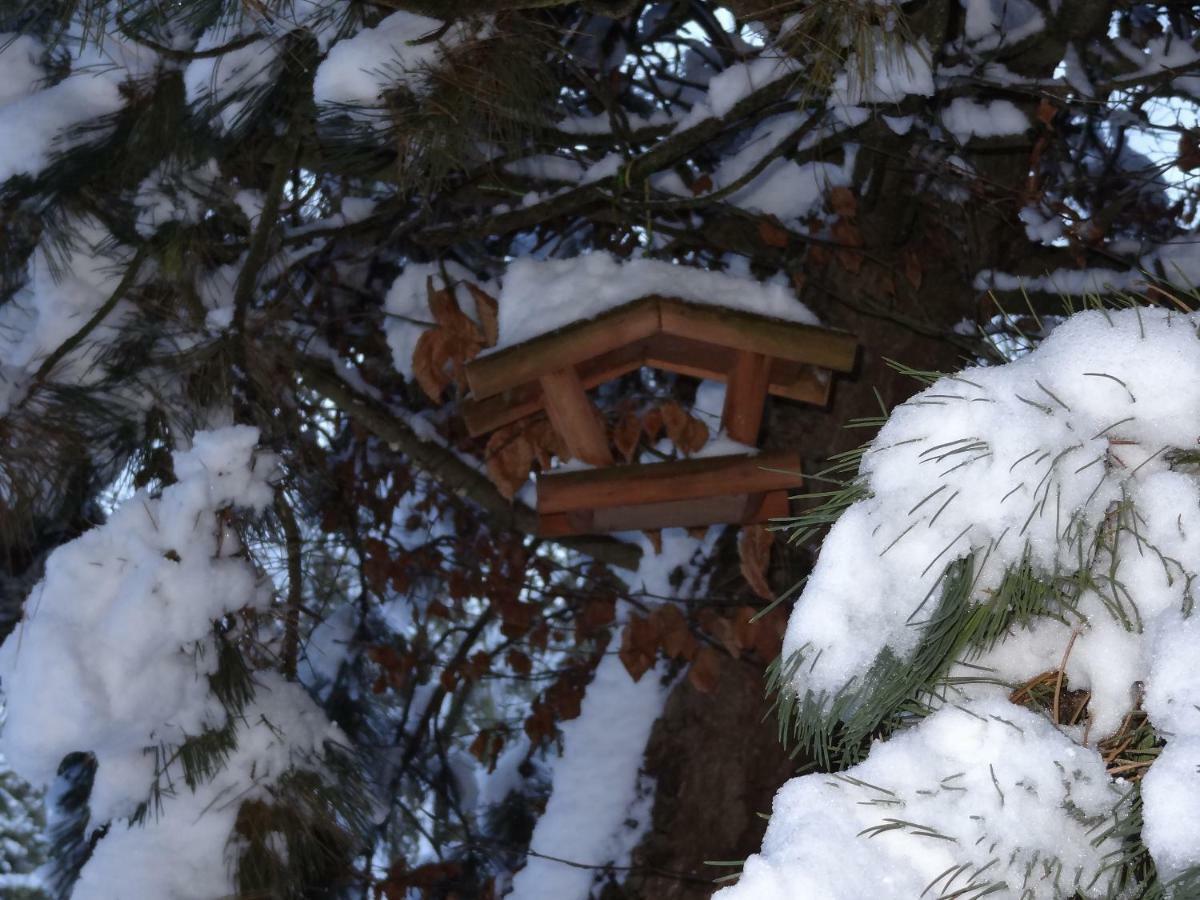 La Fermette Blanche Bed & Breakfast Nadrin Екстериор снимка